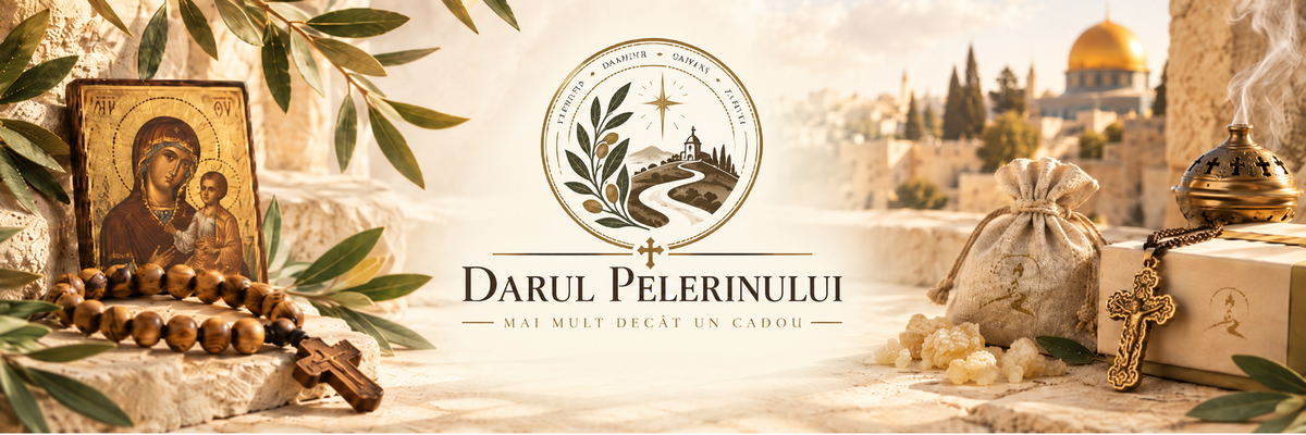Despre noi